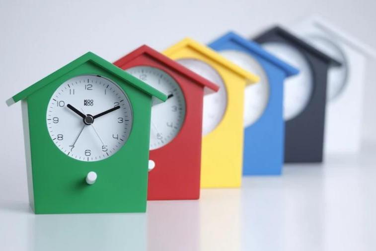KOOKOO EarlyBird, bird voice alarm clock
