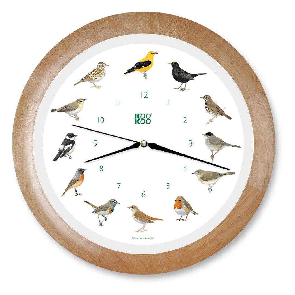 KOOKOO Singvögel mit Quarzwerk, Aufnahmen aus der Natur (Deals: gut, wie neu)