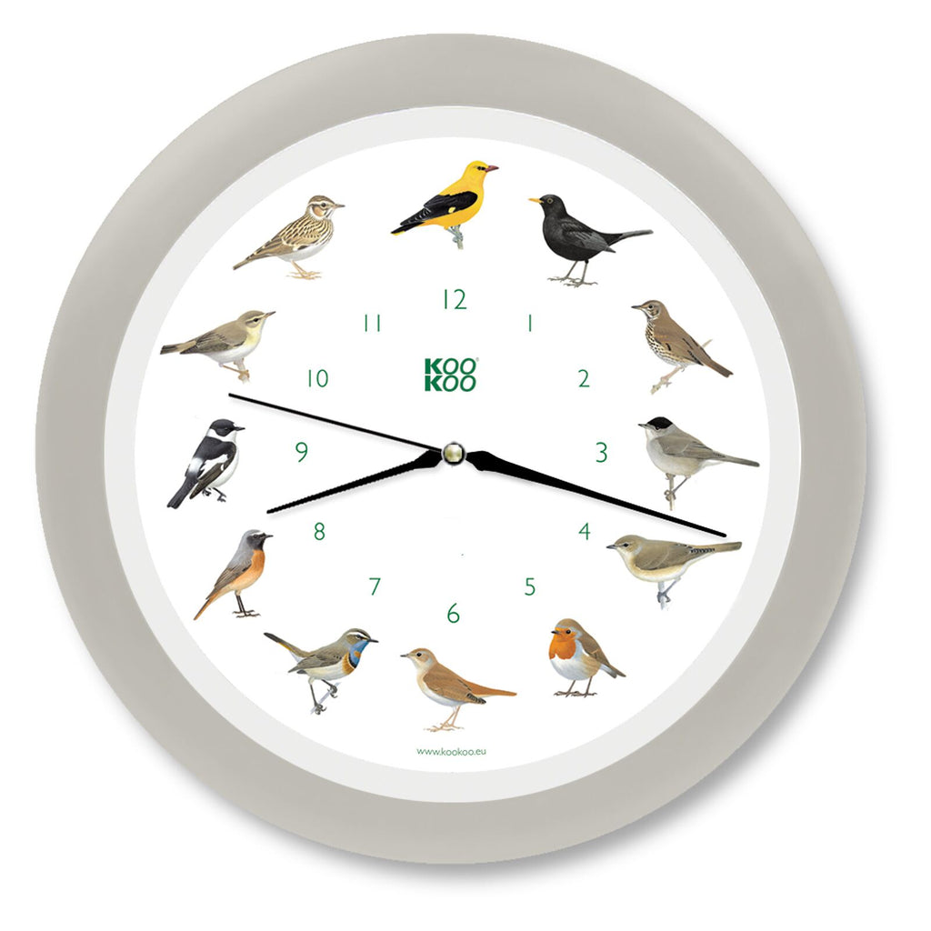 KOOKOO Singvögel mit Quarzwerk, Aufnahmen aus der Natur (Deals: gut, wie neu)